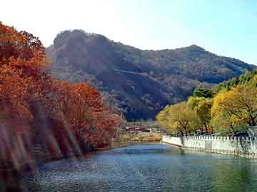 澳门天天彩期期精准平肖，中国神器爆米花机走红